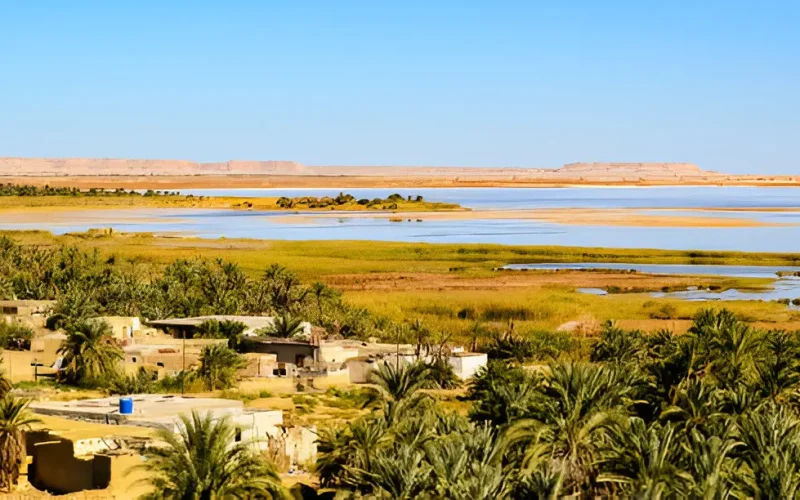 Bahariya Oasis