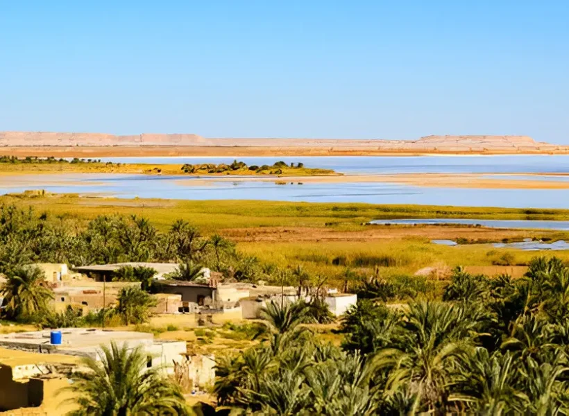 Bahariya Oasis
