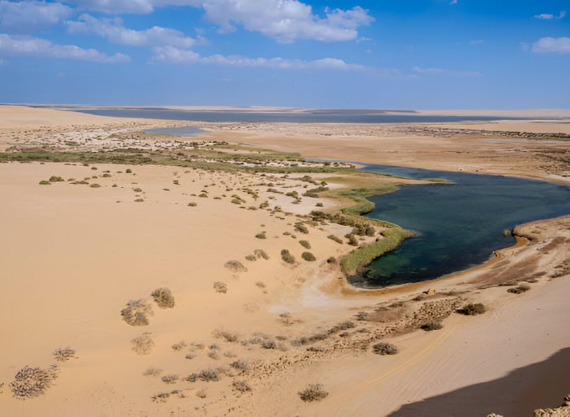 Bahariya Oasis